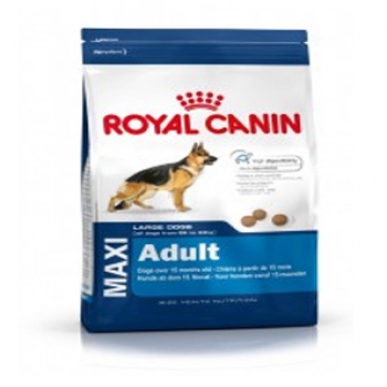 Rayal Canin Maxi Adult 